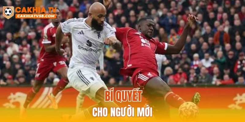 Bí quyết cho người mới
