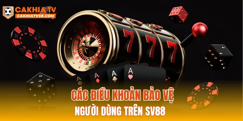 Các điều khoản bảo vệ người dùng trên SV88