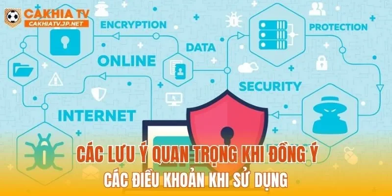 Các lưu ý quan trọng khi đồng ý các điều khoản khi sử dụng