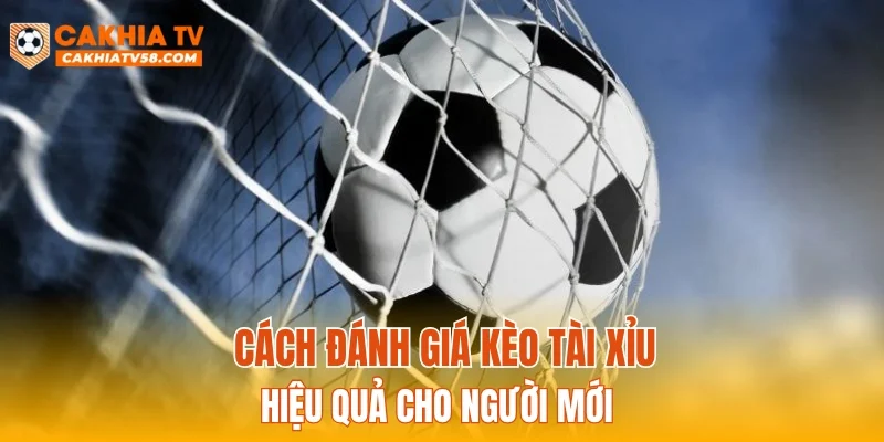 Cách đánh giá kèo tài xỉu hiệu quả cho người mới