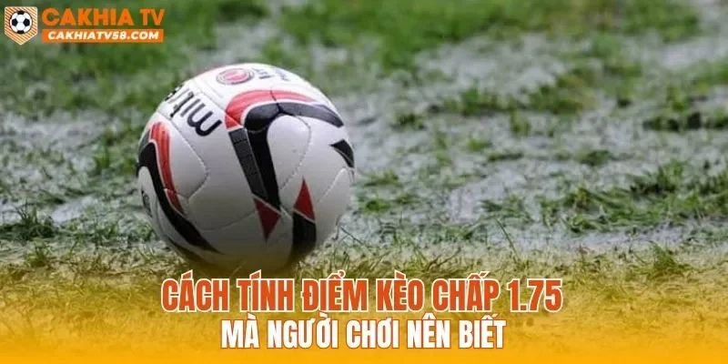 Cách tính điểm kèo chấp 1.75 mà người chơi nên biết