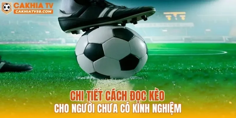 Chi tiết cách đọc kèo cho người chưa có kinh nghiệm