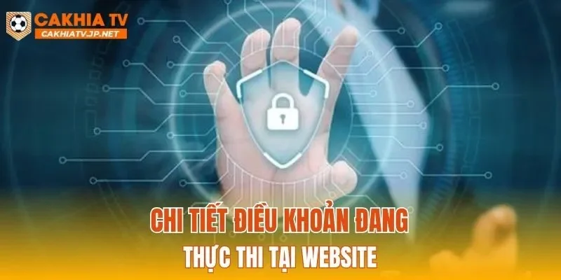 Chi tiết điều khoản đang thực thi tại website