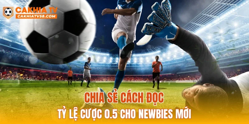 Chia sẻ cách đọc tỷ lệ cược 0.5 cho newbies mới