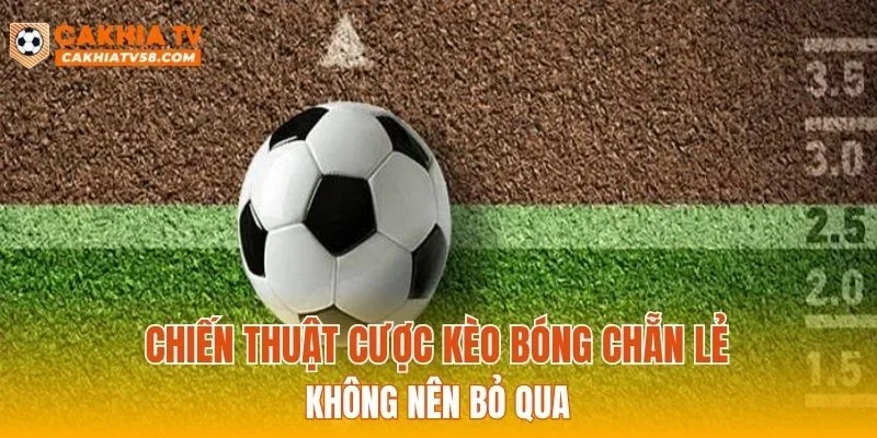 Chiến thuật cược kèo bóng chẵn lẻ không nên bỏ qua