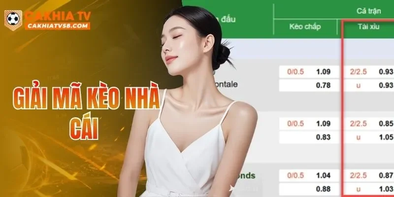 Giải Mã Kèo Nhà Cái