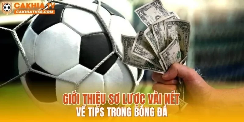 Giới thiệu sơ lược vài nét về Tips trong bóng đá