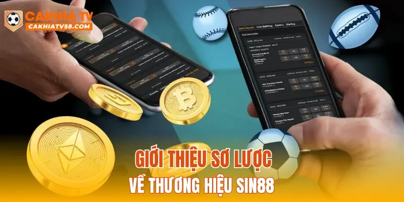 Giới thiệu sơ lược về thương hiệu SIN88