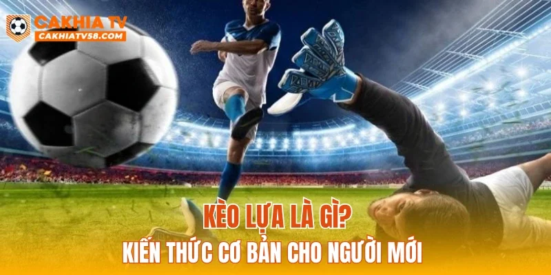 Kèo lựa là gì? Kiến thức cơ bản cho người mới