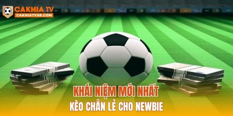 Khái niệm mới nhất về kèo chẵn lẻ cho newbie