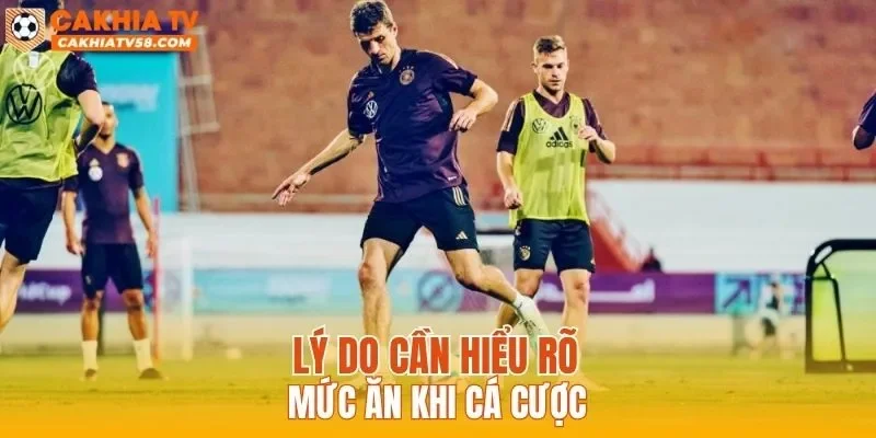 Lý do cần hiểu rõ mức ăn khi cá cược