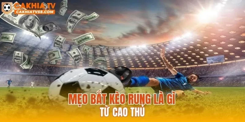 Mẹo bắt kèo rung là gì từ cao thủ