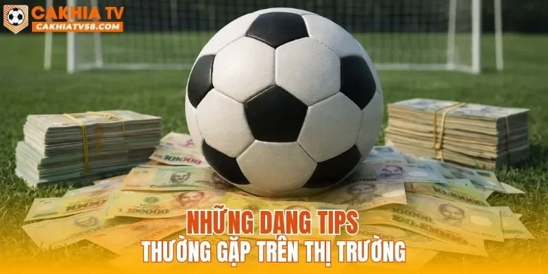 Những dạng tips thường gặp trên thị trường