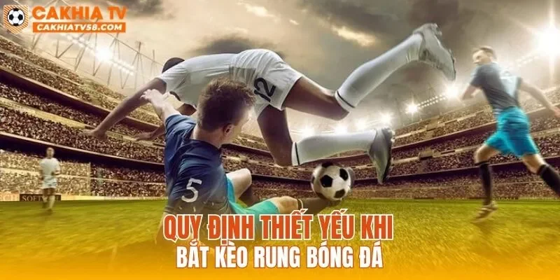 Quy định thiết yếu khi bắt kèo rung bóng đá