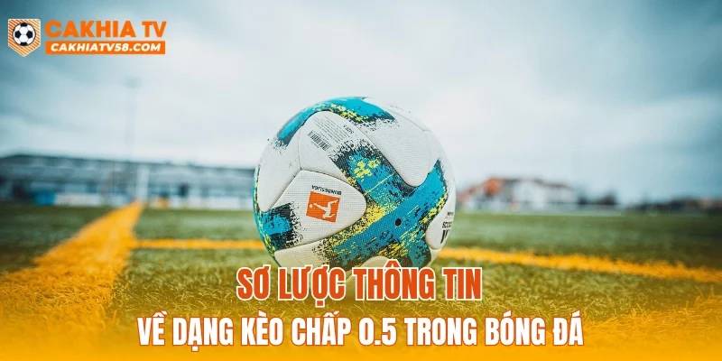 Sơ lược thông tin về dạng kèo chấp 0.5 trong bóng đá
