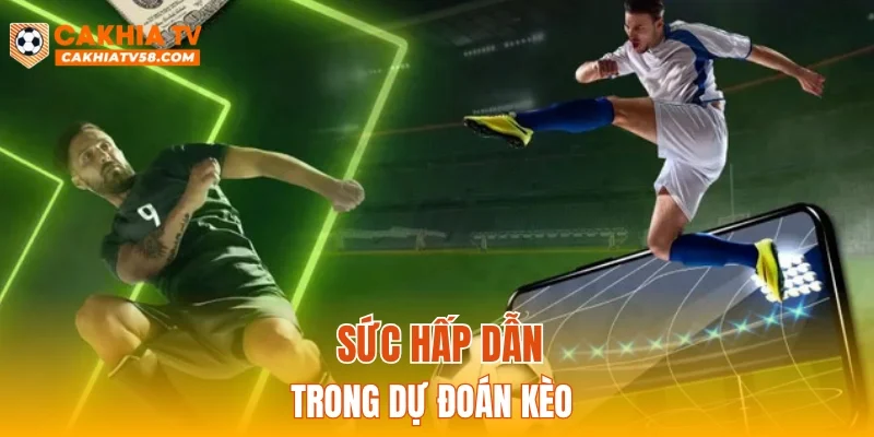Sức hấp dẫn trong dự đoán kèo