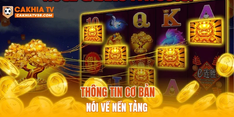 Thông tin cơ bản nói về nền tảng