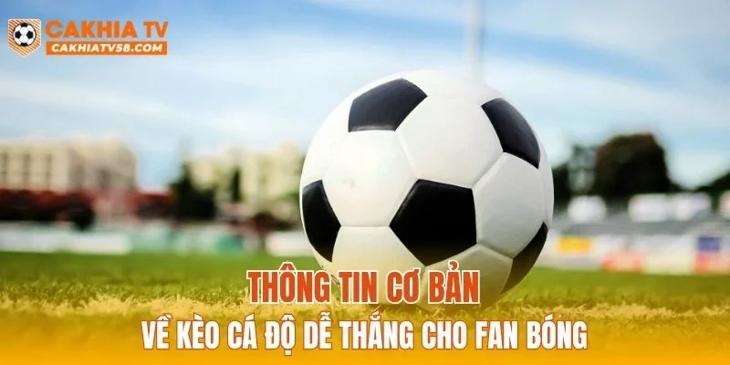 Thông tin cơ bản về kèo cá độ dễ thắng cho fan bóng