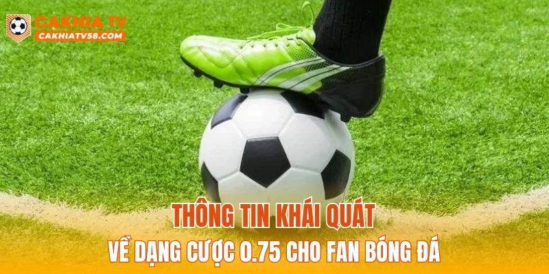 Thông tin khái quát về dạng cược 0.75 cho fan bóng đá