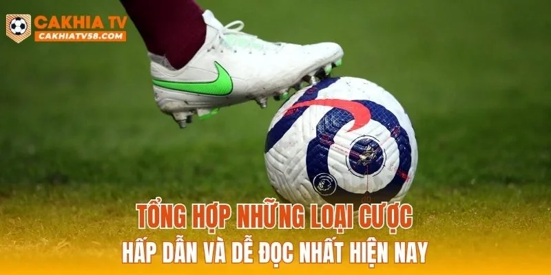 Tổng hợp những loại cược hấp dẫn và dễ đọc nhất hiện nay