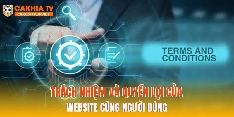 Trách nhiệm và quyền lợi của website cùng người dùng