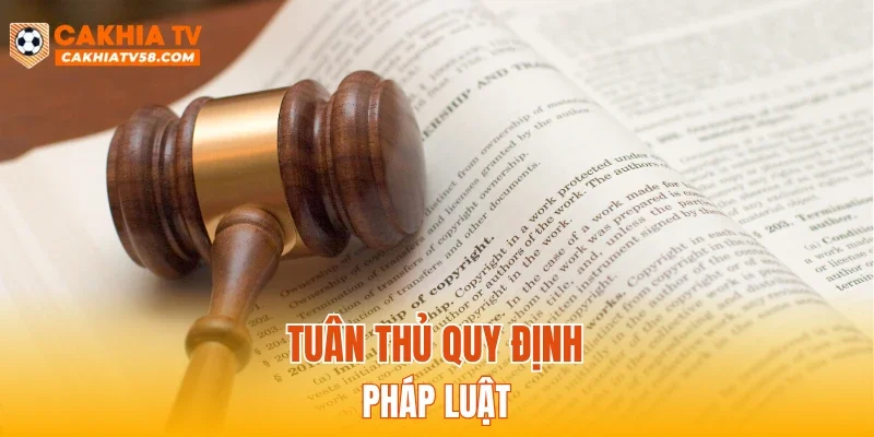 Tuân thủ quy định pháp luật